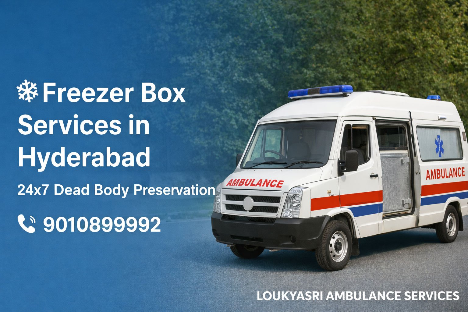 Freezer Box Services in Hyderabad